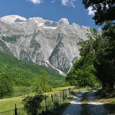 Bujtina Terthorja Affittacamere