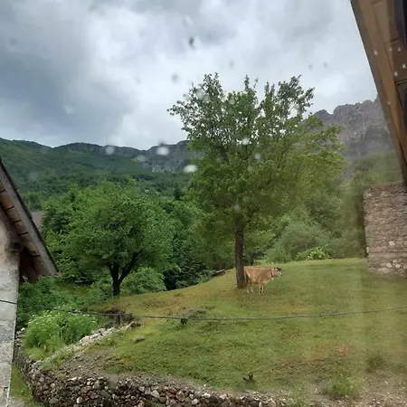 Bujtina Terthorja
