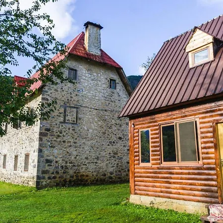 Bujtina Terthorja Theth