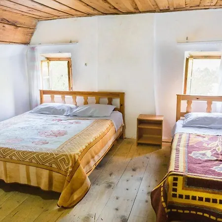 Bujtina Terthorja Theth