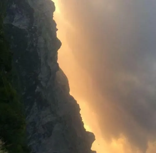 Bujtina Terthorja *