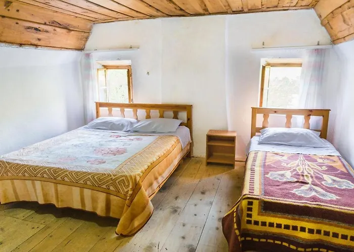 Bujtina Terthorja Theth